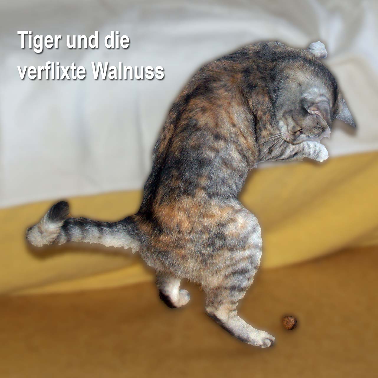 Tiger und die verflixte Walnu