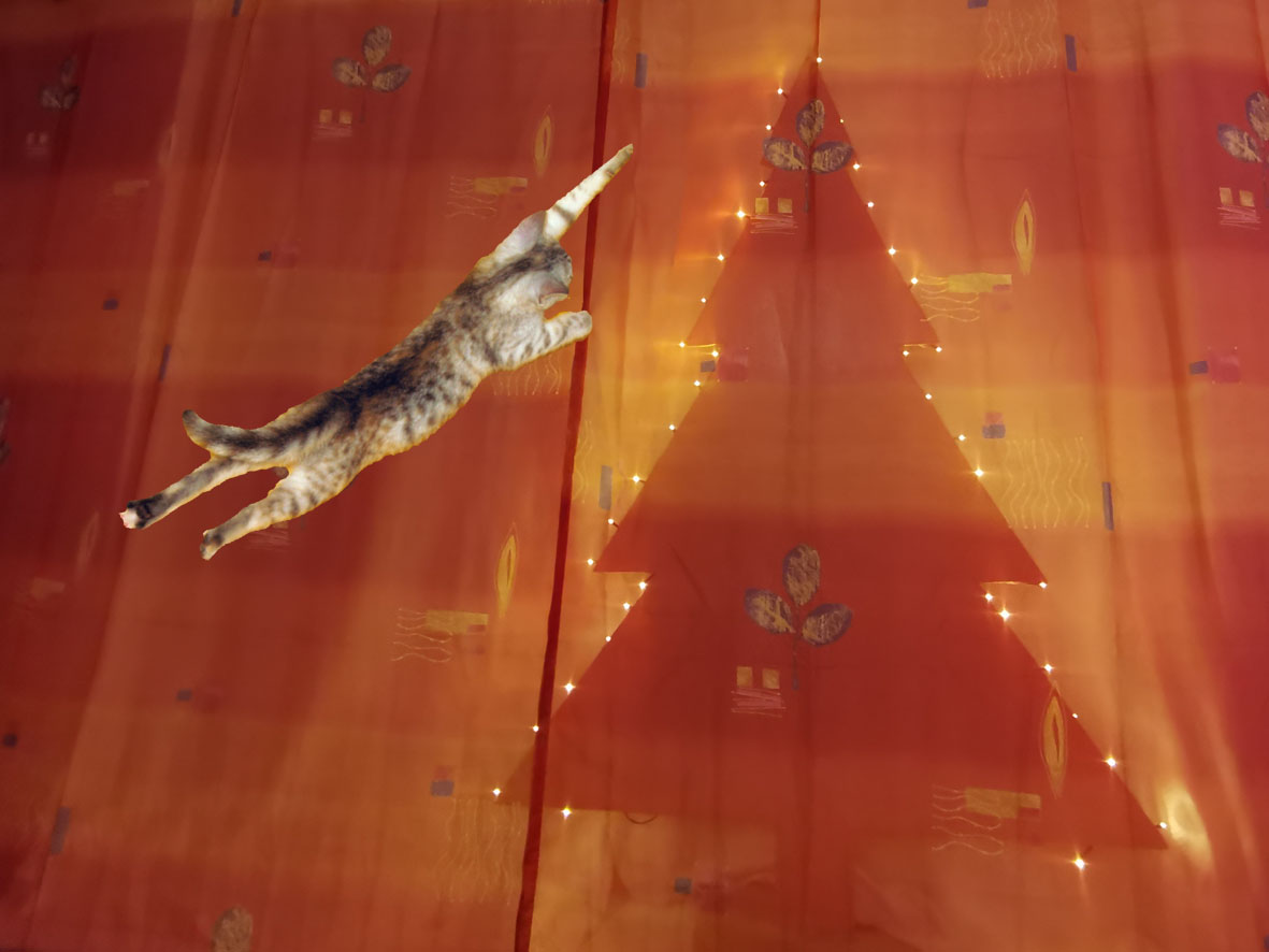 Katze springt an Weihnachtsbaum